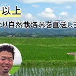 自然栽培米を届ける意味|村田自然栽培米ササニシキ